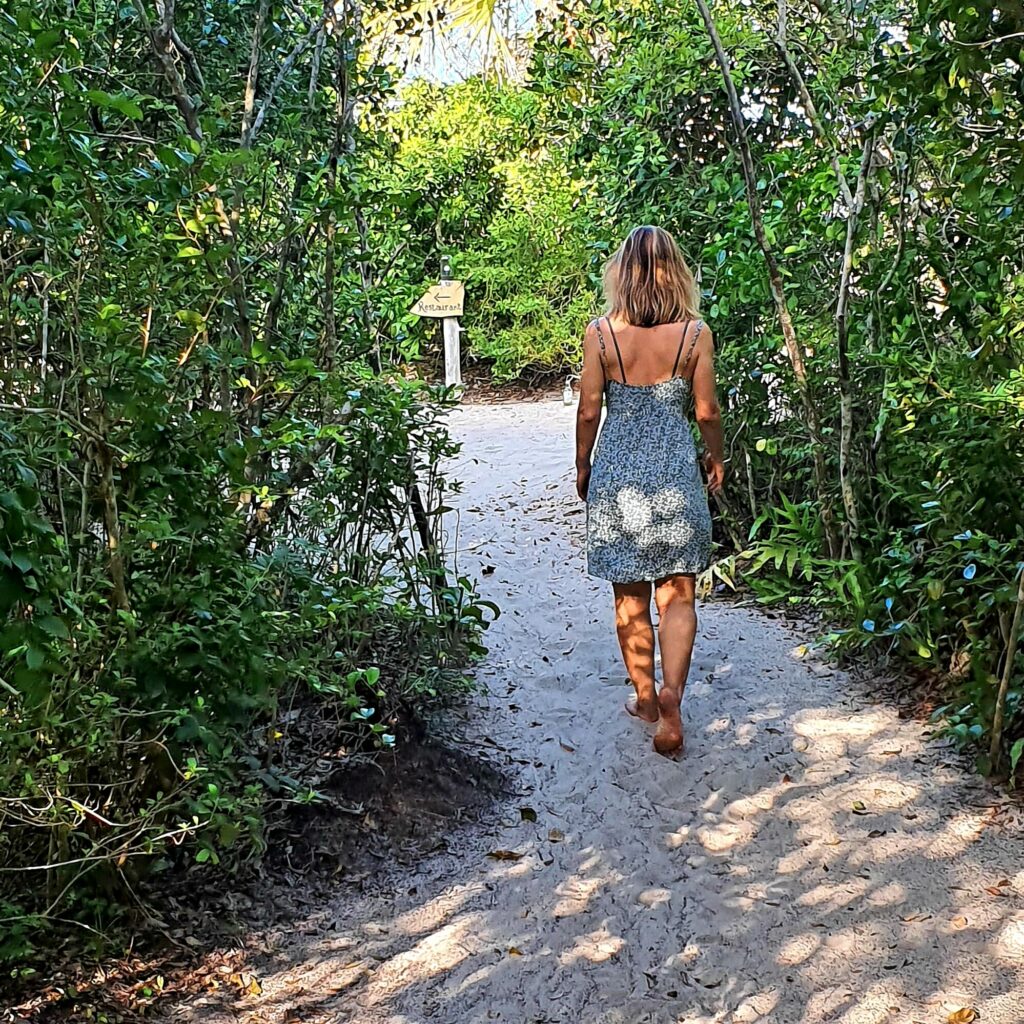 Forest Walk