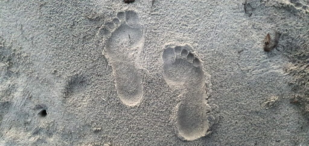 Footprints in the sand